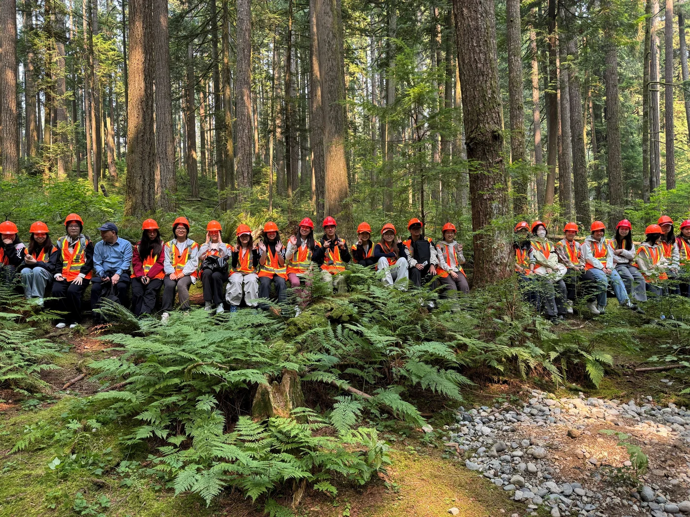 Summer Institute students conducting a guided learning activity in a research forest