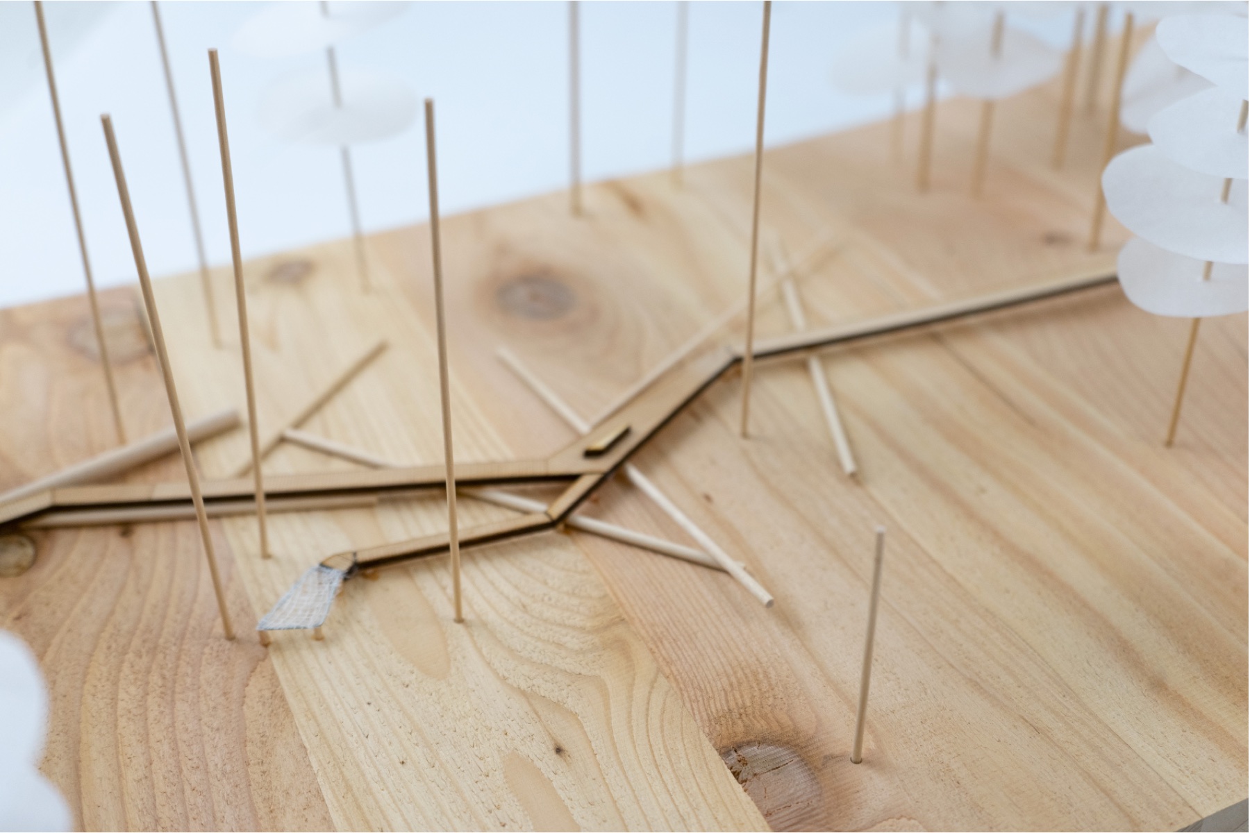 Detailed physical landscape model with paths, trees, and layered elements